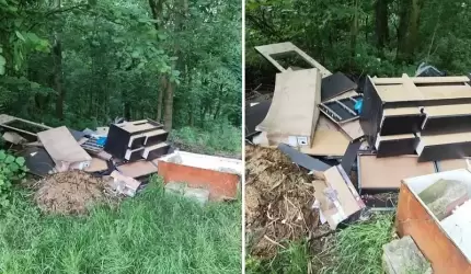 Kosztowne porządki. Mandat za gabaryty porzucone w lesie