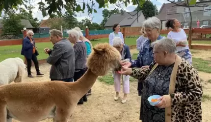 Seniorzy z wizytą u alpak