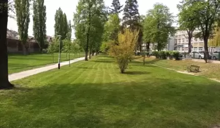 OSiR porządkuje zieleń miejską