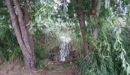 Firma Globistic zrewitalizuje zbiornik w Juszczynie