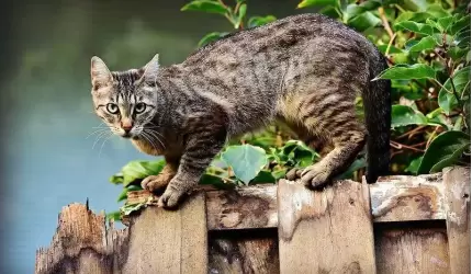 Podziękowanie za dar od Samorządu Uczniowskiego