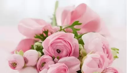 Z okazji Dnia Edukacji Narodowej życzenia składa Dariusz Maciejewski