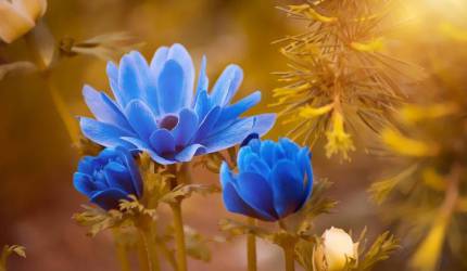 Najserdeczniejsze życzenia Seniorom składa Leszek Maciejewski