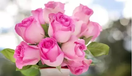 Serdeczne życzenia z okazji Dnia Matki składa Leszek Maciejewski