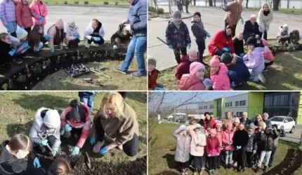 Wiosenne kwiaty przed nową SP nr 1 na Winnej Górze