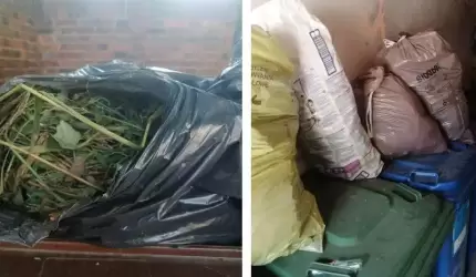 Mieszkańcy zamiast do PSZOK-u, wyrzucają odpady zielone do pojemników