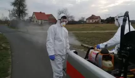 Kiedy gmina dokonuje  zabiegów dezynsekcji?