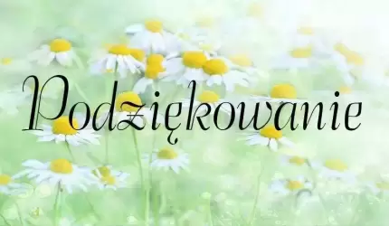 Dziękuję policji i straży miejskiej!