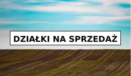 Gmina Udanin ogłasza nowe przetargi na sprzedaż nieruchomości