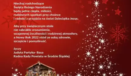 Ciepła i miłości na Święta oraz zdrowia i pomyślność w Nowym Roku życzy radna Judyta Partyka - Basa