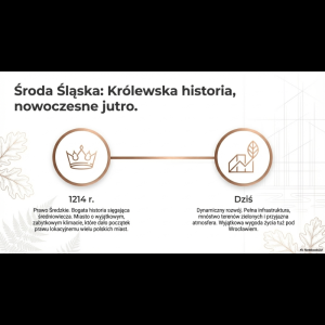 Środa Śląska: od średniowiecznej historii do nowoczesnego, dynamicznego rozwoju i przyjaznej atmosfery.