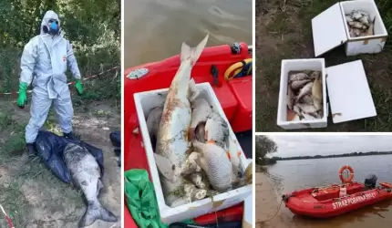 Kilkaset kg śniętych ryb w Odrze, wypadki, lokalne podtopienia [raport strażaków]