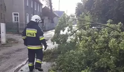 Powalone drzewo i pożar ścierni