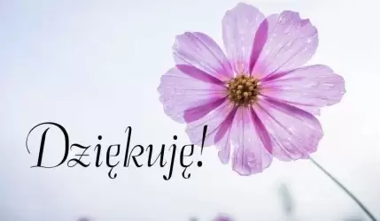 Dziękuję za uczciwość i dobre serce!