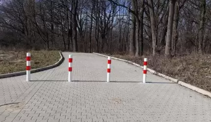 Czytelniczka: Interweniowanie ma sens