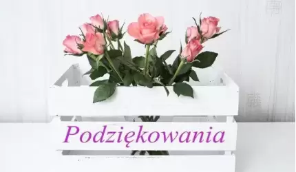 Podziękowania