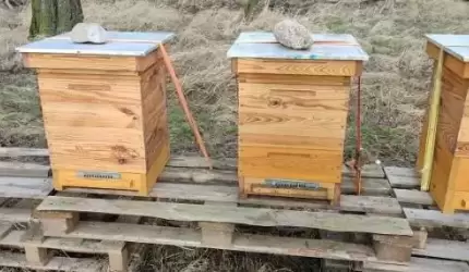 W Jugowcu skradziono ule. Poszukiwani świadkowie