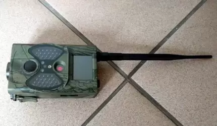 On ukradł foto-pułapkę, ona ukryła amfetaminę w... książce