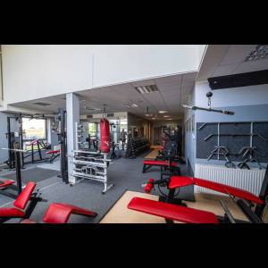 A spacious gym featuring weight machines, benches, a punching bag, and bright, modern decor.