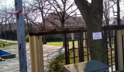 Zakaz wstępu do parków. Gdzie wyprowadzić psa?