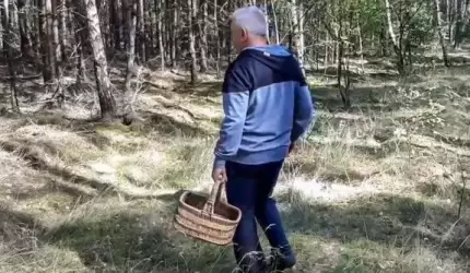 Grzybiarze! Apel o rozwagę