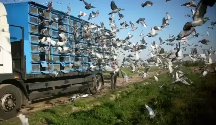 Zaczynamy i nowe wyzwania dla PZHGP Sekcja Środa Śląska