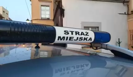 Straż Miejska z dostępem do bazy CEPiK