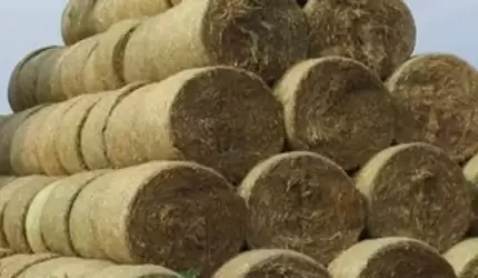 Mieszkaniec Brodna: Ta informacja jest nieprawdziwa!