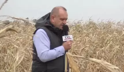 Rolnicy proszą - ministerstwo odpowiada...