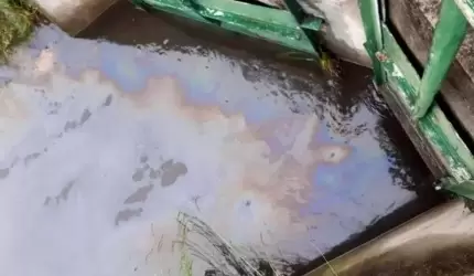 Kto "zatruwa" średzki akwen Kajaki?