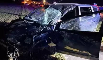 Auto wypadło z drogi. Kierowca trafił do szpitala