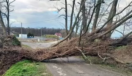 Zerwane linie energetyczne i dachy, powalone drzewa...