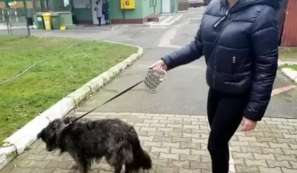 Padł rekord „Mikołajkowej paczki” dla schroniska dla zwierząt!