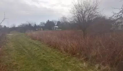 Dotacja celowa dla Związku Działkowców w Środzie Śląskiej