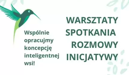 Ankieta Smart Village Wilkszyn