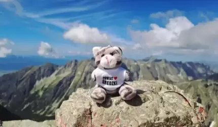 Wakacje w kadrze, Powiat w sercu – konkurs fotograficzny wystartował!