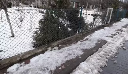 Czytelnik: Czytam Rolanda i nie wierzę!