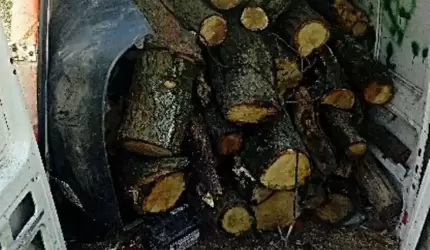 Policja: Wpadł na gorącym uczynku. Usłyszał zarzut kradzieży