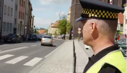 Z notatnika miejskiego strażnika