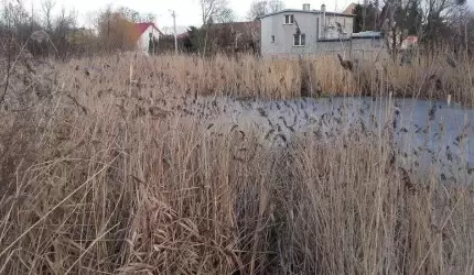 Mieszkańcy Juszczyna biorą sprawy w swoje ręce