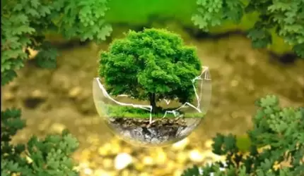 Firma GREEN ENERGY w Komornikach rozdaje sadzonki drzew!