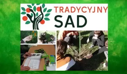 Uczniowie z Kostomłotów kolejny raz uczestniczą w projekcie Tradycyjny sad