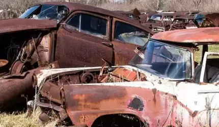 Kolekcjoner wraków ukarany mandatem