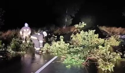 Kolizje, pożary, usuwanie skutków silnego wiatru [raport strażaków]