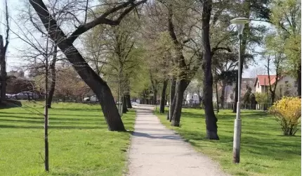 Lampy w parku miejskim będą odmalowane