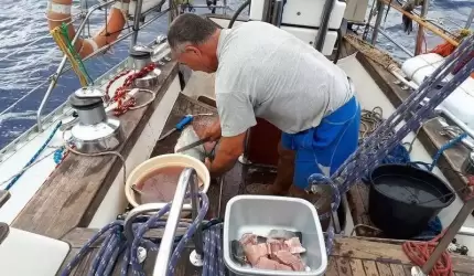 Średzianie w podróży dookoła świata. Ryby pod żaglami