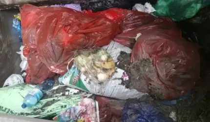 Zła segregacja odpadów i sankcje SM