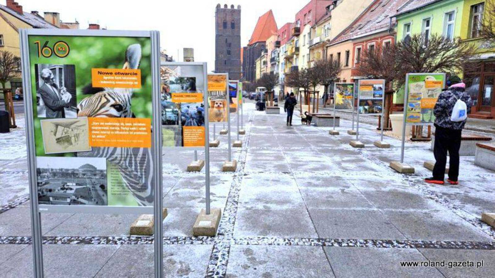 ZOO Wrocław na rynku w Środzie Śląskiej – wyjątkowa wystawa plenerowa