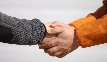 Mieszkanka do kandydatów: Czy jesteście zainteresowani?