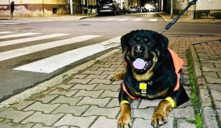 Jesienne wieczory? Odblask obowiązkowy!